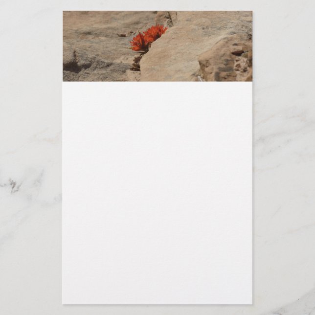 Papelería Pincel indio en rocas en Zion (Anverso)