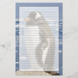 Papelería Pingüino de Gentoo