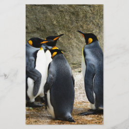 Papelería Pingüino Rey