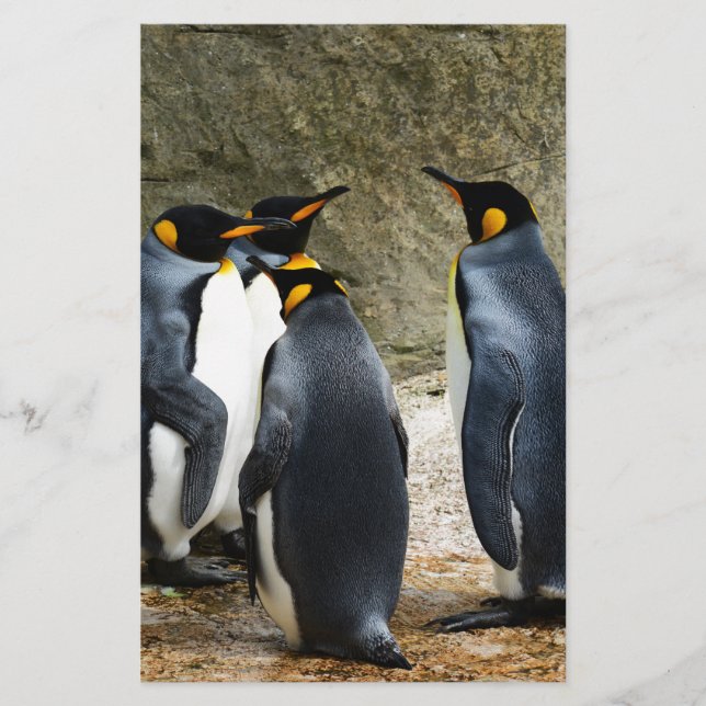 Papelería Pingüino Rey (Anverso)