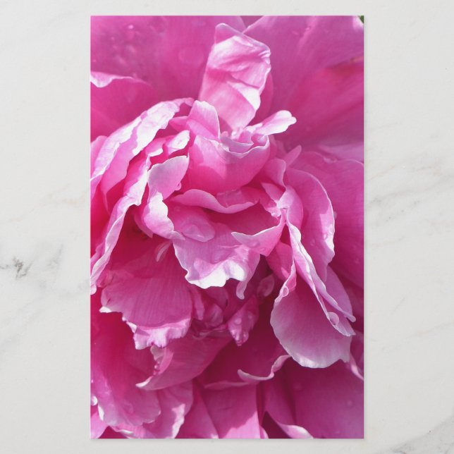 Papelería Pink Peony (Anverso)