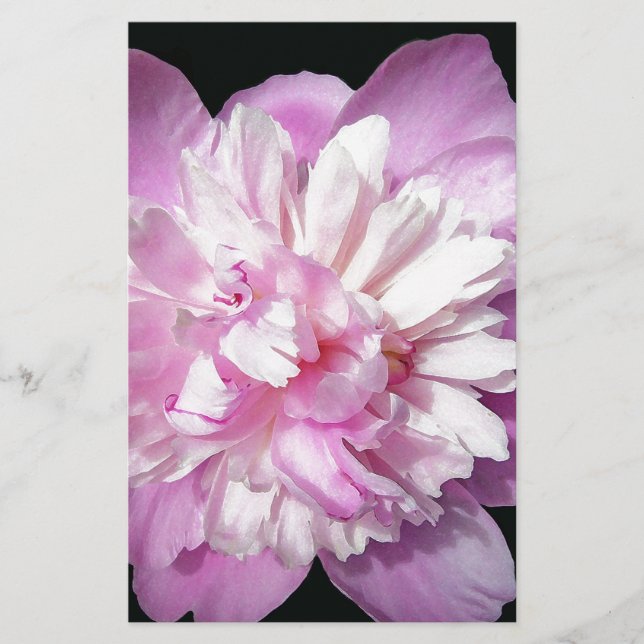 Papelería Pink Peony (Anverso)