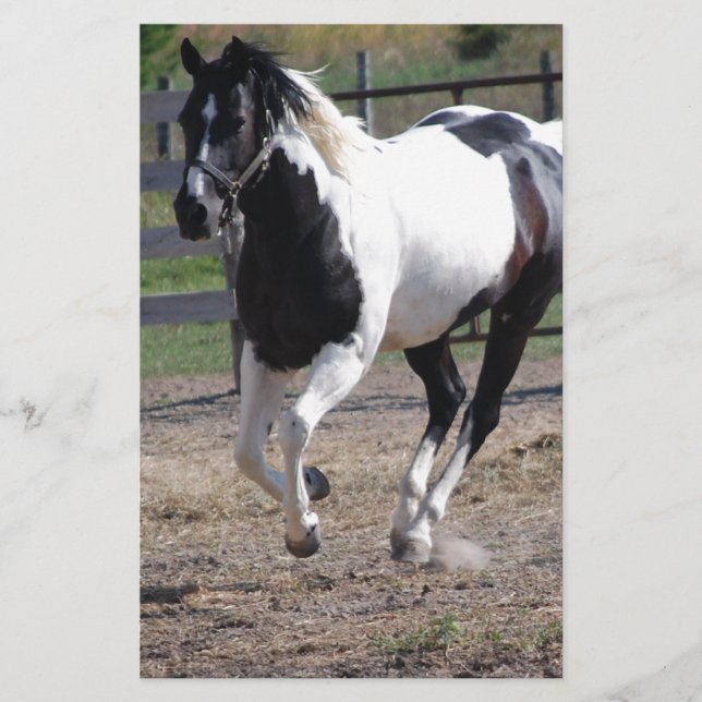 Papelería Pinto Paint Horse (Anverso)