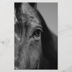 Papelería Pintura de ojos de caballo blanco negro