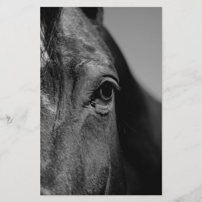 Papelería Pintura de ojos de caballo blanco negro (Anverso)