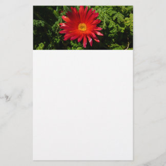 Papelería Planta de alfombras coloreadas de flores de hielo 