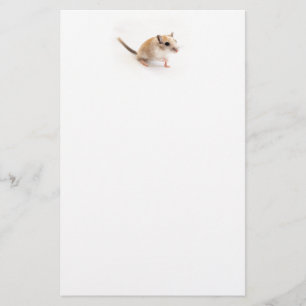 Papelería Plantilla animal de los Gerbils del mascota del