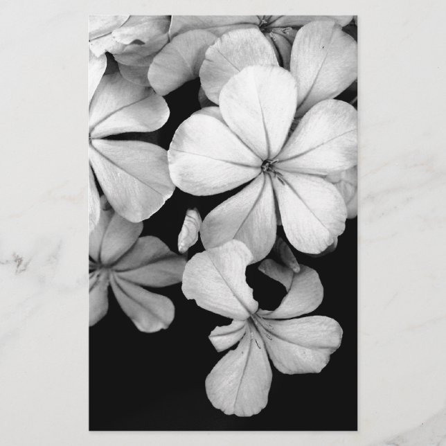 Papelería Plumbago blanco y negro (Anverso)