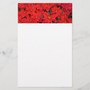 Papelería Poinsettias rojas Navidad la foto floral navideña