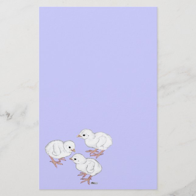 Papelería Pollitos de Guinea blancos (Anverso)