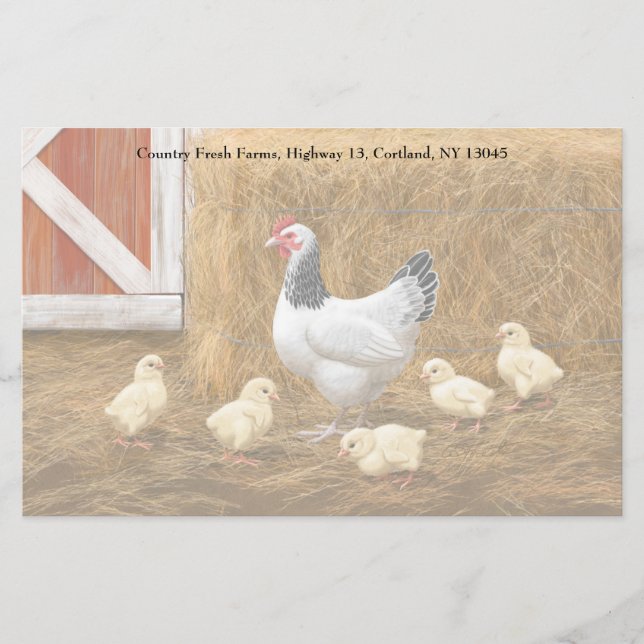 Papelería Pollo Sussex Mama Hen y Chicas (Anverso)