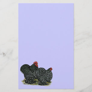 Papelería Pollos con motor Cochin