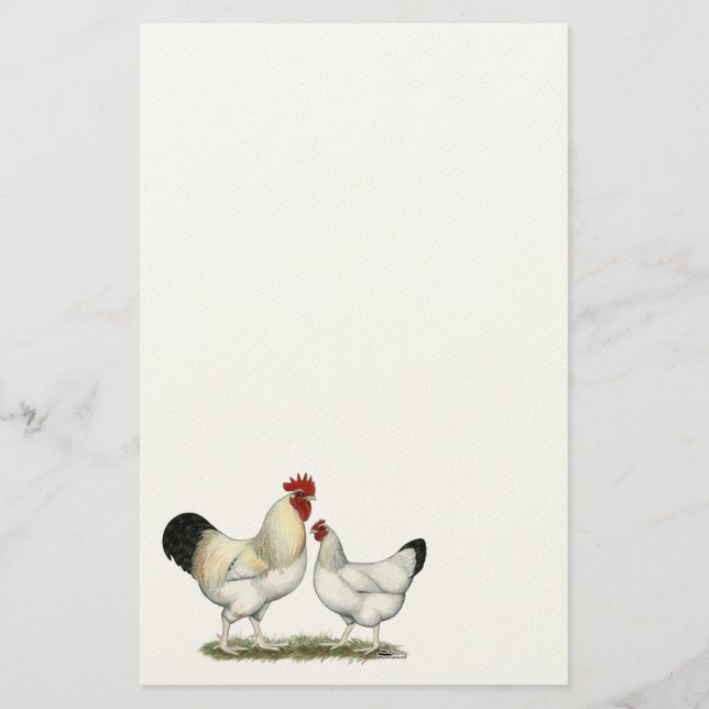 Papelería Pollos del río Indio (Anverso)