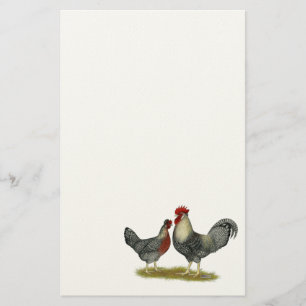 Papelería Pollos poner crema de Legbar