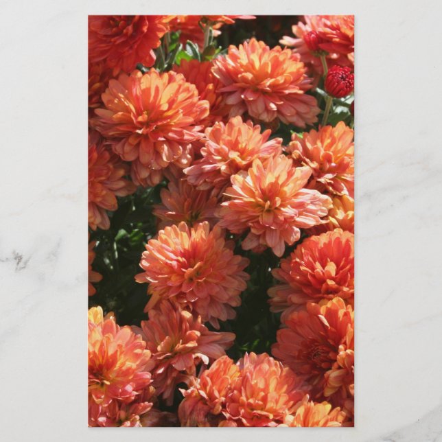 Papelería Poppies I (Anverso)