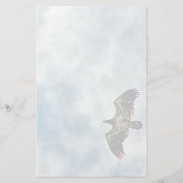 Papelería Posibilidades futuras (Anverso)