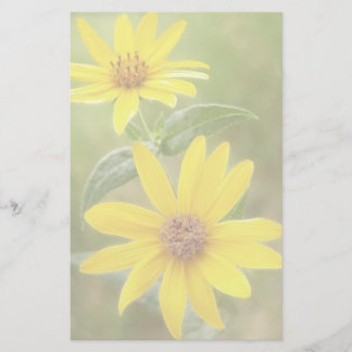 Papelería Prairie Sunflower - Helianthus maximilianii