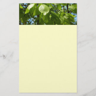Papelería Primavera Birch deja el árbol verde
