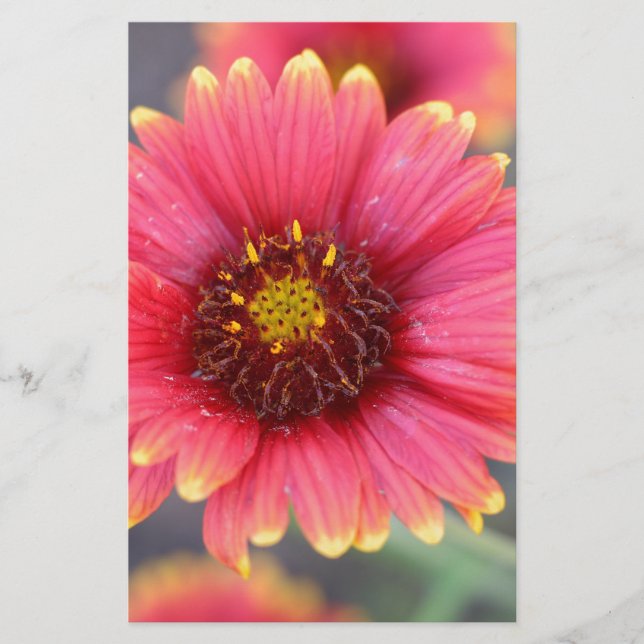 Papelería Primavera en flor (Anverso)