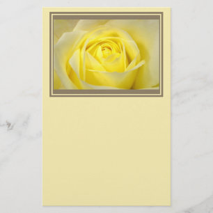 Papelería Primer del rosa amarillo