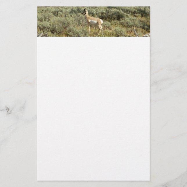 Papelería Pronghorn en el Parque Nacional de Grand Teton (Anverso)
