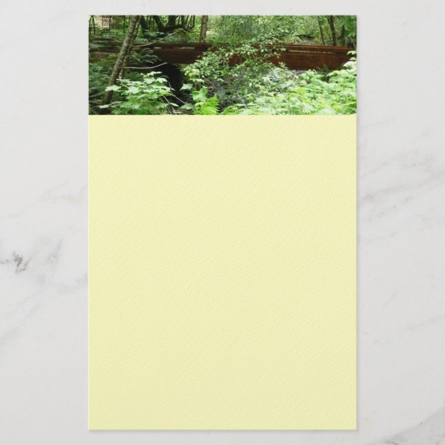 Papelería Puente Muir Woods I (Anverso)