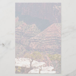 Papelería Rafinesque Watches