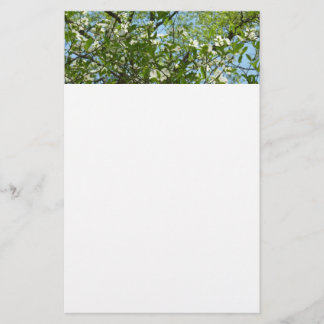 Papelería Ramas de Dogwood florecen árboles de primavera