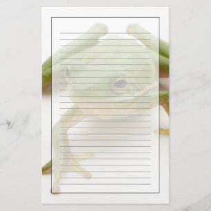 Papelería Rana arbórea verde
