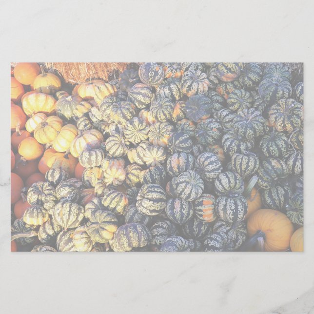Papelería Rayas Y Calabazas (Anverso)