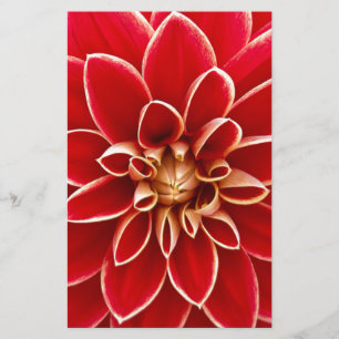 Papelería Red Dahlia