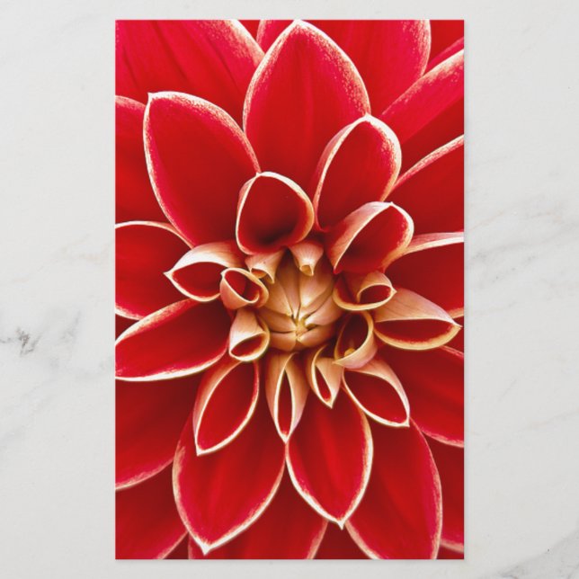 Papelería Red Dahlia (Anverso)
