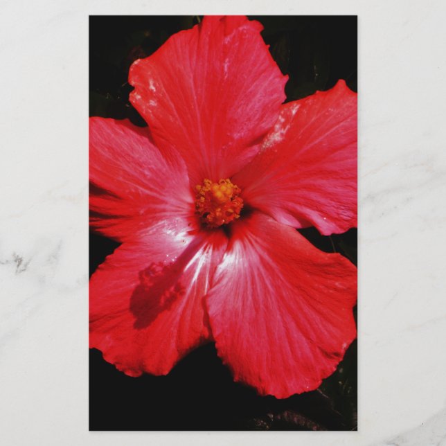 Papelería Red Hibiscus (Anverso)