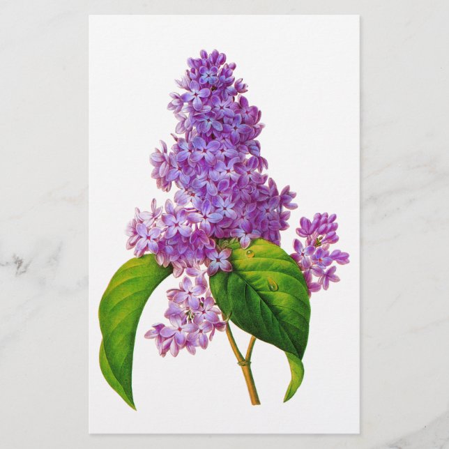 Papelería Redoute Lilacs (Anverso)