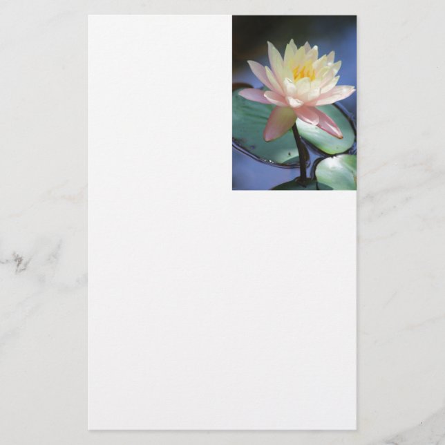 Papelería Reflejo de luz (Anverso)