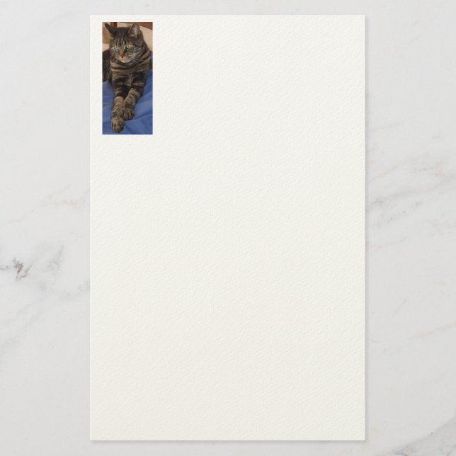 Papelería Regal Dave Stationery (Anverso)