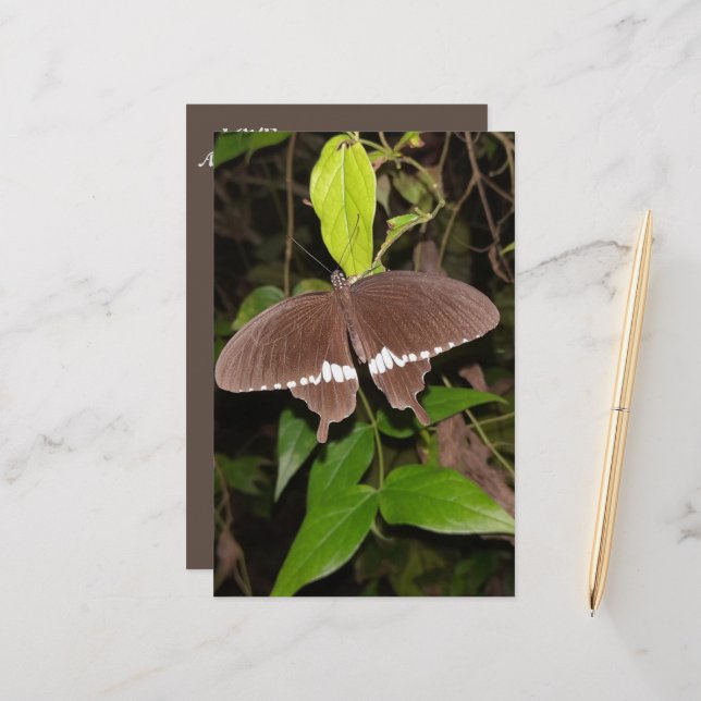 PAPELERÍA REGALO DE LA MARIPOSA DE AMOR PARA CUALQUIERA (Anverso/Reverso In Situ)