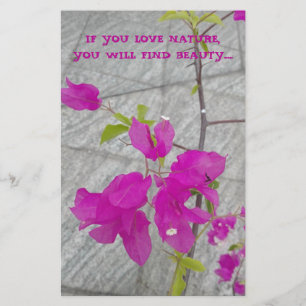 PAPELERÍA REGALO PARA AMANTES DE LA NATURALEZA
