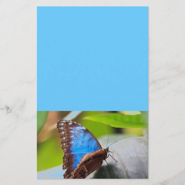 Papelería Regalos del destino (Anverso)