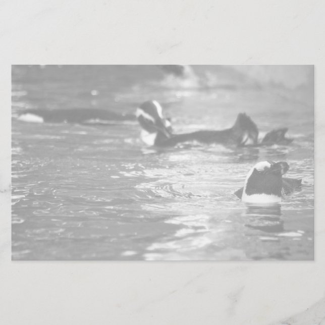 Papelería Relajante (Anverso)