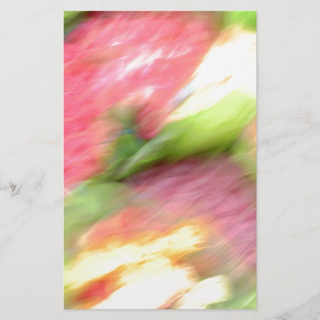 Papelería Resumen (Anverso)