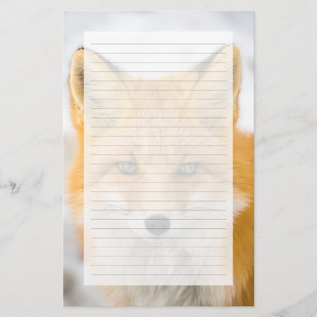Papelería Retrato de zorro rojo (Anverso)