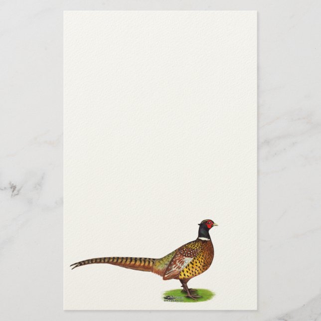 Papelería Ringneck Pheasant Rooster (Anverso)