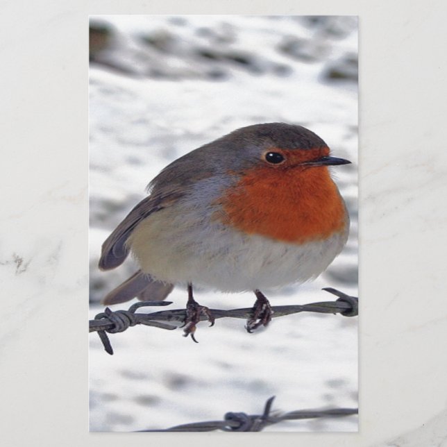 Papelería Robin Redmama (Anverso)