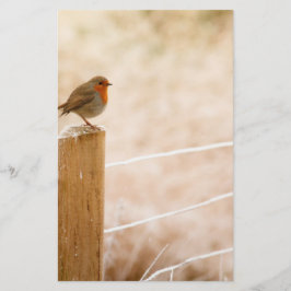 Papelería Robin Redmama