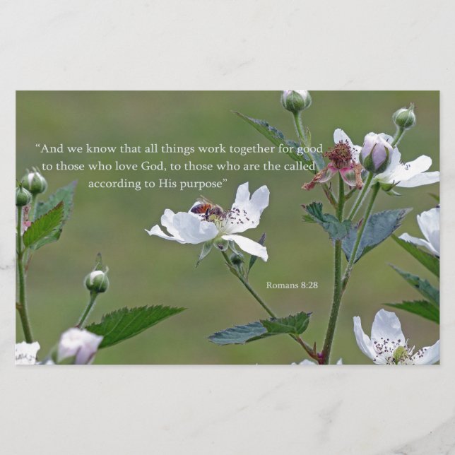 Papelería Romanos 8:28 (Anverso)