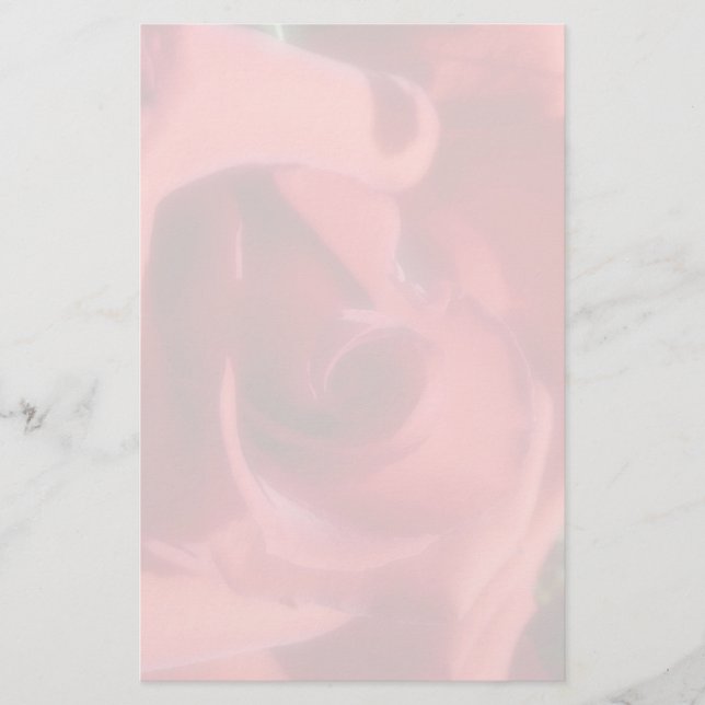 Papelería Rosa (Anverso)