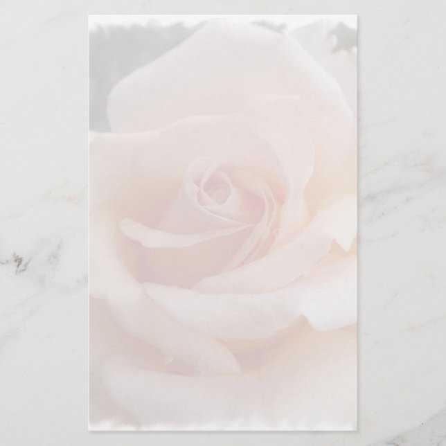 Papelería Rosa (Anverso)