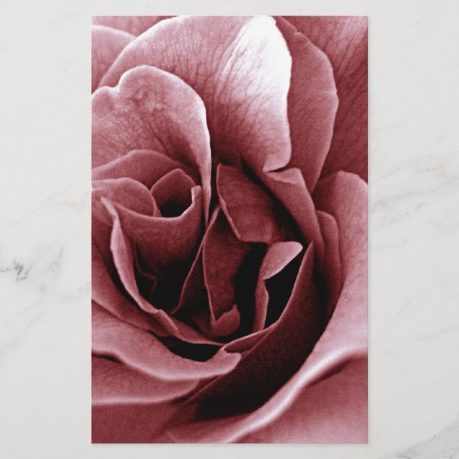 Papelería Rosa (Anverso)