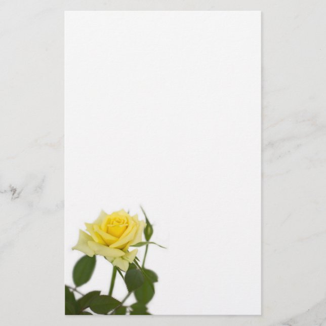 Papelería Rosa amarilla (Anverso)
